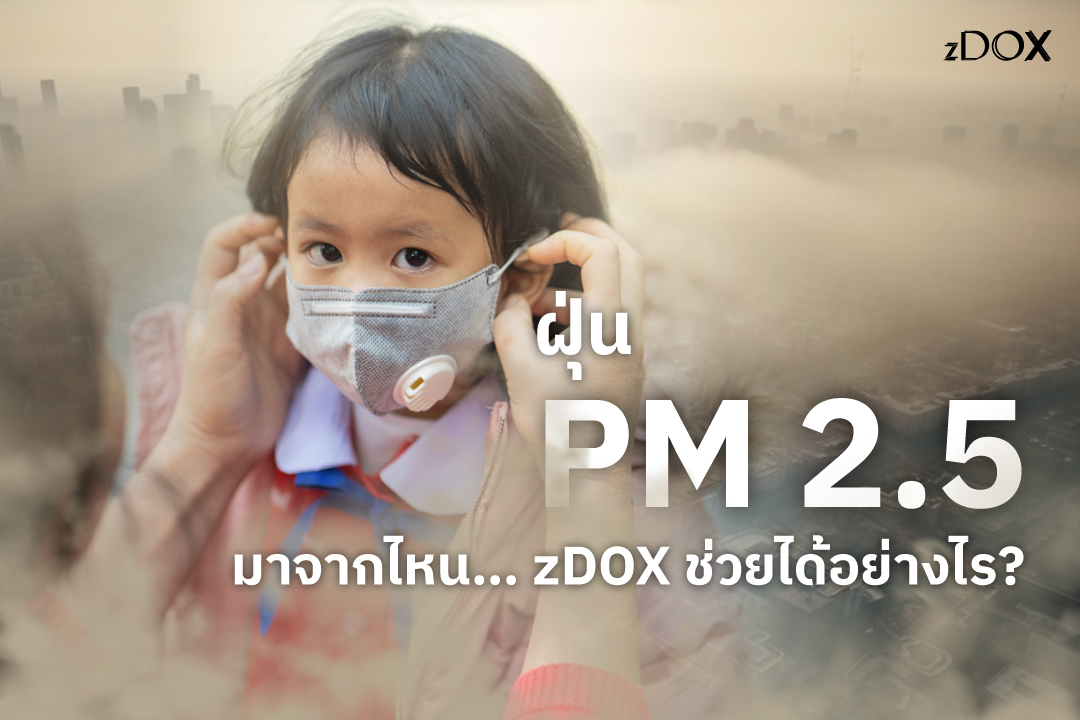 Read more about the article ฝุ่น PM 2.5 มาจากไหน… zDOX ช่วยได้อย่างไร?